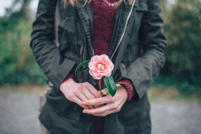 by Ian Schneider | stocksnap.io
