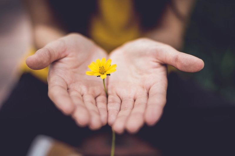 Six Steps to Developing a Growth Mindset