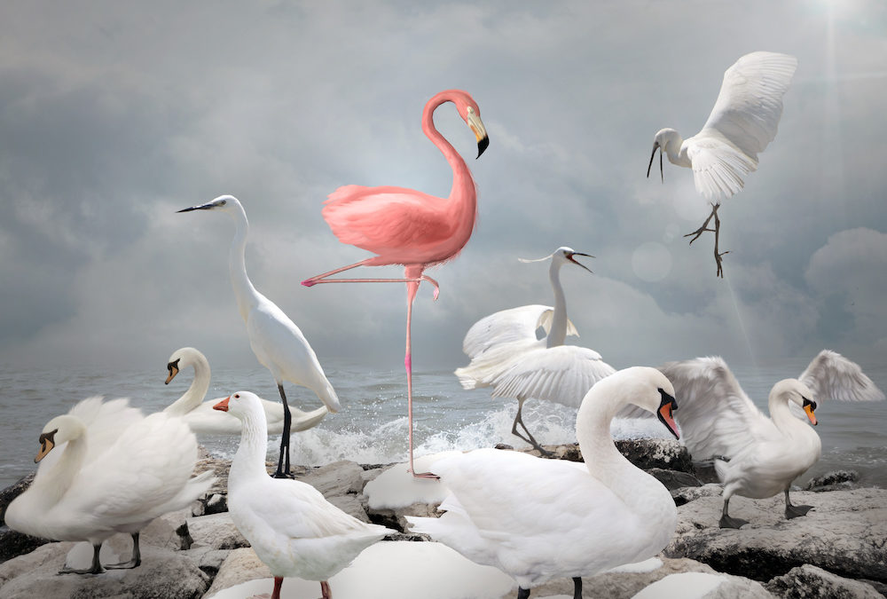 Motivation Moment: Be Weird… Because Normal is Not Working