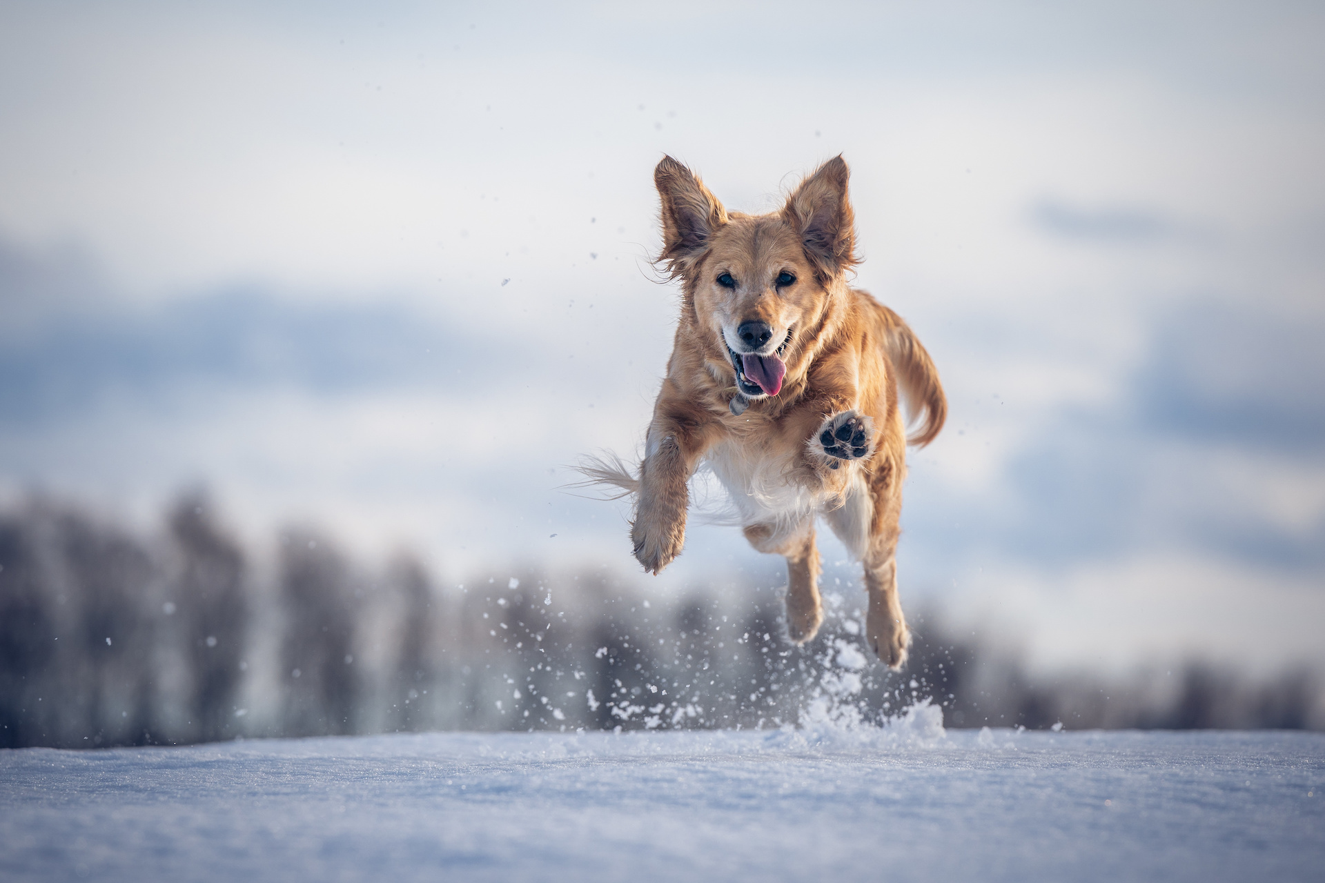 Got the Winter Blues? Mine Magic from the Mundane: Part 1