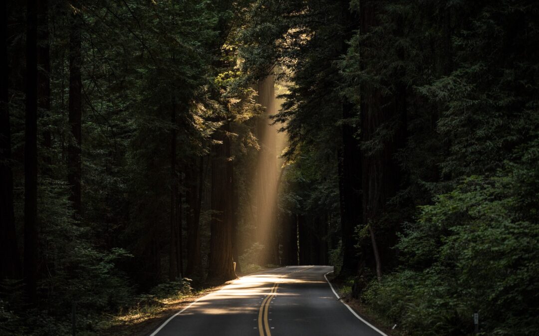 Make Your Future Bigger Than Your Past